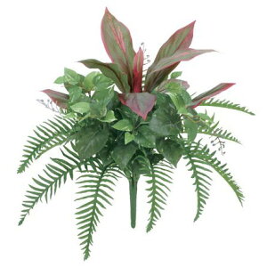 ϗtA  RfB[lA\[gubV RfBl 50cm tFCNO[ lHϗtA G} CTG} CeA [G-L]