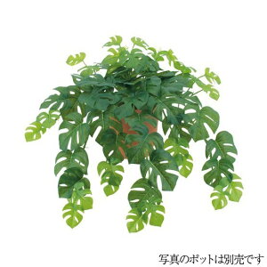 tFCNO[ OΉ tbVXvbgtBnMOubV S -EH[^[v[t 55cm lHϗtA ϗtA  G} CTG} CeA [G-L]