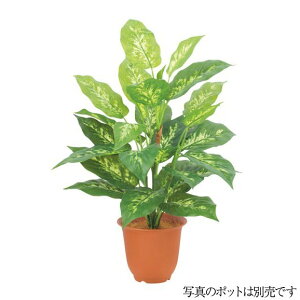 lHϗtA OΉ Go[O[fB[tFoLAubV EH[^[v[t 52cm tFCNO[ ϗtA  G} CTG} CeA [G-L]