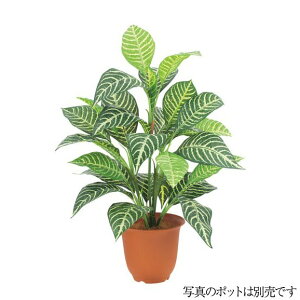 �t�F�C�N�O���[�� ���O�Ή� �G�o�[�O���[���[�u���u�b�V�� �E�H�[�^�[�v���[�t 52cm �ϗt�A�� ���� �l�H�ϗt�A�� ���G�} CT�G�} �C���e���A [G-L]