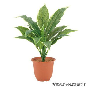 lHϗtA OΉ EH[^[v[tnubV 45cm tFCNO[ ϗtA  G} CTG} CeA [G-L]