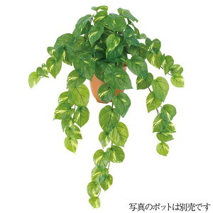 観葉植物 人工観葉植物 屋外の通販 価格比較 価格 Com