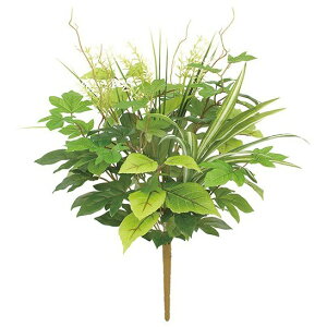 lHϗtA XvO[tA\[gubV 48cm ϗtA  tFCNO[ G} CTG} CeA [G-L]