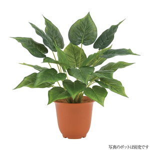 ϗtA  t@CtBubV 40cm lHϗtA tFCNO[ G} CTG} CeA [G-L]