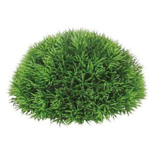 �l�H�ϗt�A�� ���O�Ή� 20cm�O���[���O���X�n�[�t�{�[�� �c�[�g���O���[�� �ϗt�A�� ���� �t�F�C�N�O���[�� ���G�} CT�G�} �C���e���A [G-L]