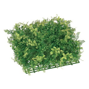 tFCNO[ OΉ AWA^~bNX[t}bg 35cm ϗtA  lHϗtA G} CTG} CeA [G-L]