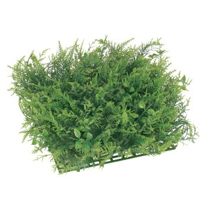 lHϗtA OΉ [JX~bNX[t}bg 35cm ϗtA  tFCNO[ G} CTG} CeA [G-L]