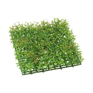 �l�H�ϗt�A�� ���O�Ή� �~�j�t�F�U�[�t�@���K�[�f���}�b�g 30cm �t�F�C�N�O���[�� �ϗt�A�� ���� ���G�} CT�G�} �C���e���A [G-L]