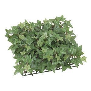 tFCNO[ CObVACr[K[f}bg 30cm lHϗtA ϗtA  G} CTG} CeA [G-L]