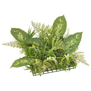 lHϗtA fB[tFoLA~bNX[t}bg fBtFoLA 35cm tFCNO[ ϗtA  G} CTG} CeA [G-L]