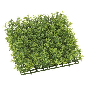 lHϗtA OΉ ~bNXeB[[tK[f}bg tFCNO[ ϗtA  G} CTG} CeA [G-L]