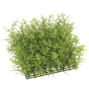 lHϗtA OΉ ~bNX[tK[f}bg tFCNO[ ϗtA  G} CTG} CeA [G-L]