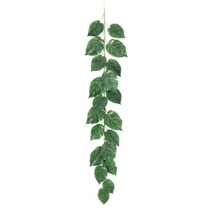 ϗtA  WCAg|gXK[h C[ 170cm lHϗtA tFCNO[ G} CTG} CeA [G-L]