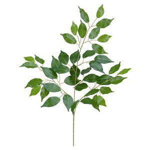 tFCNO[ tBJXXvC 62cm lHϗtA ϗtA  G} CTG} CeA [G-L]