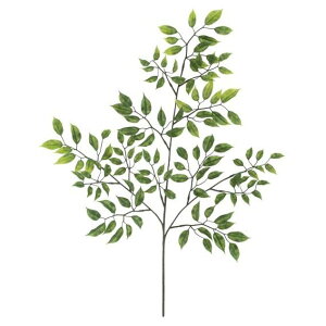 ϗtA  OΉ ~jtBJXXvC 62cm lHϗtA tFCNO[ G} CTG} CeA [G-L]