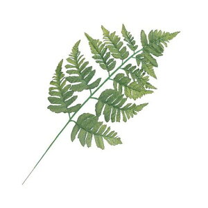 lHϗtA U[t@ 1pbN6{ 46cm ϗtA  tFCNO[ G} CTG} CeA [G-L]