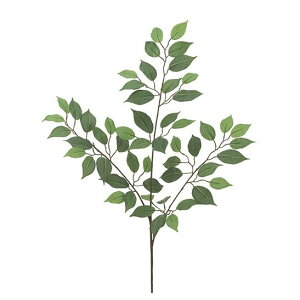 tFCNO[ tBJXXvC 56cm lHϗtA ϗtA  G} CTG} CeA [G-L]