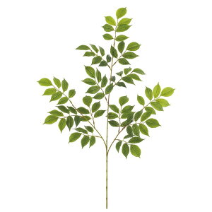 tFCNO[ }EeAbVXvC 68cm lHϗtA ϗtA  G} CTG} CeA [G-L]