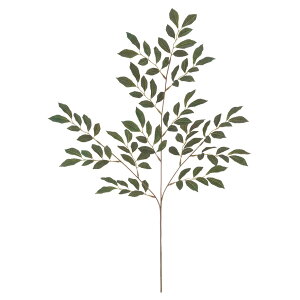 qTJLXvC tFCN O[ lHϗtA  G} CTG}[G-L]