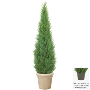 屋外 観葉植物 大型の人気商品 通販 価格比較 価格 Com 屋外 観葉植物 大型の人気商品 通販 価格比較 価格 Com