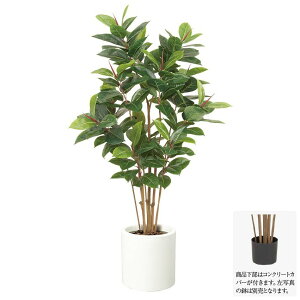lHϗtA 150cmS̖ ϗtA  ^ tFCNO[ G} CTG} CeA[G-L]