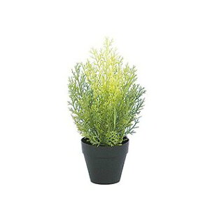 yOΉz NXgc[ 30cm CgO[ lHϗtA  tFCNO[ G} CTG}  K[f yMt_ [G-L][A-B]