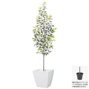造花 光触媒 観葉植物の通販 価格比較 価格 Com