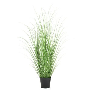 90cmIjIOX[t(L)(vX`bN) tFCN O[ lHϗtA  G} CTG}[G-L]