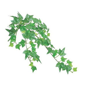 lHϗtA ~jACr[oC S c[gO[ 44cm tFCNO[ ϗtA  G} CTG} CeA [G-L]