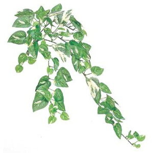 ~j|gXoC S 40cm lHϗtA  tFCNO[ G} CTG} CeA [G-L]