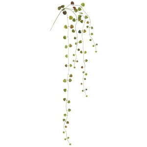 lHϗtA OΉ n[gJYoC O[^uE 73cm tFCNO[ ϗtA  G} CTG} CeA [G-L]