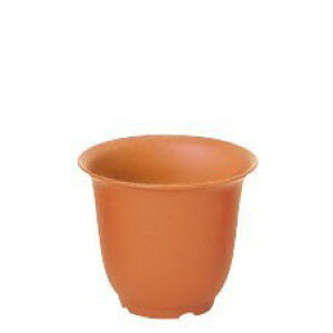 mA|bg 5 ê  ϗtA  tFCNO[  |bg[D-G]