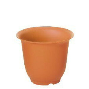 mA|bg 6 ê  ϗtA  tFCNO[  |bg[D-G]