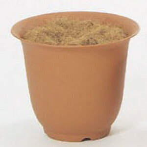 _10%OFFN[|^ mA|bg 4(uE) ϗtA  tFCNO[  |bg[G-L][A-B]