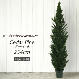 シーダーパインツリー L 234cm ゴールドクレスト リアル フェイクグリーン 人工観葉植物 造花 光触媒 大型 鉢植 コニファー クリスマス CT触媒