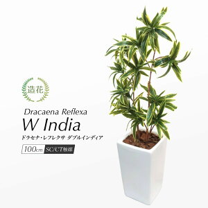 tFCNO[ ϗtA tFCN lHϗtA { ^ 傫 A  G} A  CeA  O[ CTG}  p[e[V L R IV