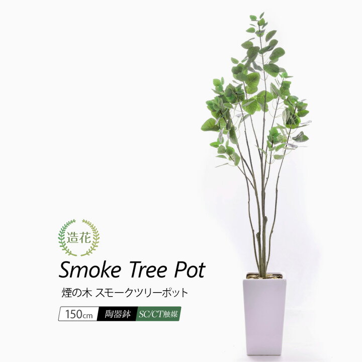 楽天市場】【限定特価】フェイクグリーン 観葉植物 フェイク 人工観葉 