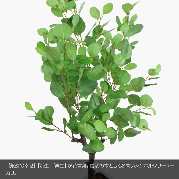 楽天市場 人工観葉植物 フェイクグリーン 観葉植物 造花 光触媒 リアルユーカリ 130cm 鉢植 フェイク グリーン インテリア おしゃれ Ct触媒 お祝い フェイクグリーンの神戸花物語