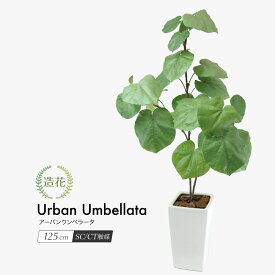 アーバンウンベラータ 125cm 人工観葉植物 リアル フェイクグリーン 人工観葉植物 造花 光触媒 大型 鉢植 インテリア おしゃれ CT触媒 消臭 抗菌 お祝い 贈り物[nnf]