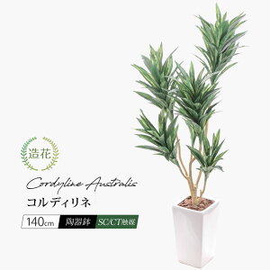 tFCNO[ ^ lHϗtA G} CTG} RWl A  CeA  L lH j JXj Vzj JƏj rO A hZi bJ 