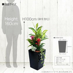 フェイクグリーンアナナストロピカルプランツ鉢植ディフェンバキア+グズマニア寄植【人工観葉植物造花光触媒SC/CT触媒フェイクグリーン】