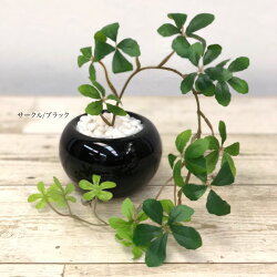 【RCP】【観葉植物造花】【送料無料】アレカパーム鉢植とシサスバインのセット(光触媒より優れたCT触媒/SC触媒/インテリア/お祝い)【フェイクグリーン観葉植物造花】