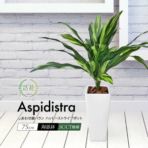 tFCNO[ ϗtA tFCN A lHϗtA nbs[XgCv|bg 킹ȃn 75cm V}n {  G} A CeA  CTG} j 