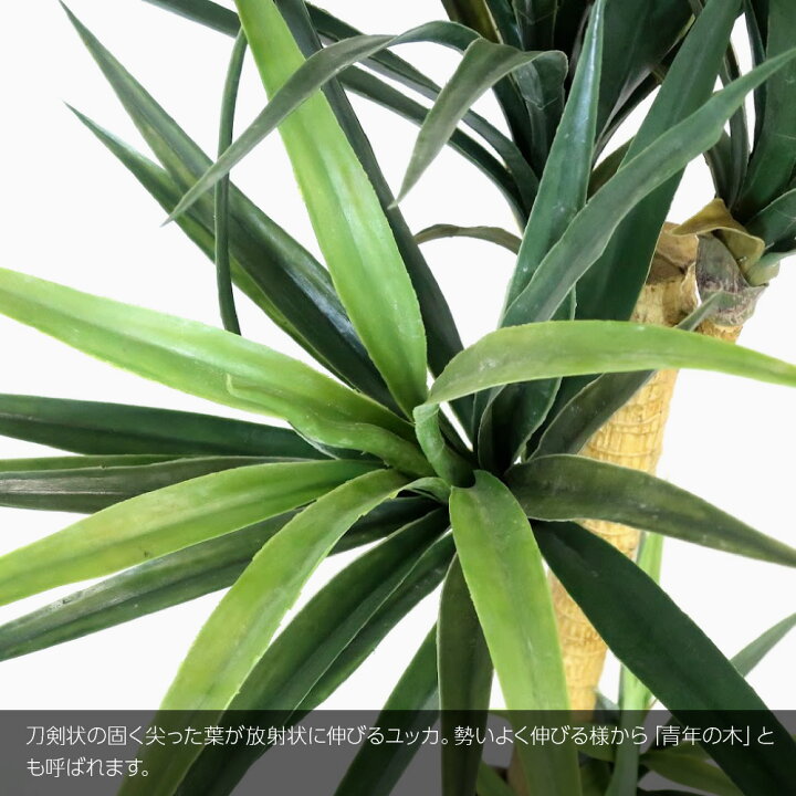 市場 ユッカ 造花 イミテーション コベントガーデン Op 28 Garden Covent フェイクグリーン エレファンティペス