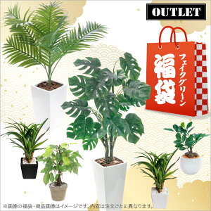 yVt  2025z tFCNO[ ϗtA tFCN O[ lHϗtA ^  G} CTG} A  L R CeA {  lC nbs[ob