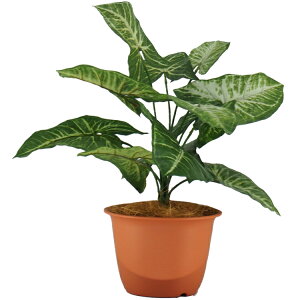 _10%OFFN[|^ tFCNO[ ϗtA tFCN lHϗtA  ~j  G} VSj[ubV 32cm SC(CT)G} G} tFCNO[ʔiZbg