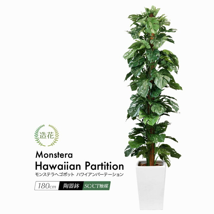 楽天市場 人工観葉植物 リアル フェイクグリーン 観葉植物 造花 光触媒 モンステラヘゴポット ハワイアンパーテーション 180cm 鉢植 フェイク グリーン インテリア おしゃれ Ct触媒 お祝い フェイクグリーンの神戸花物語