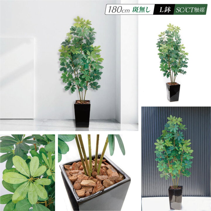 楽天市場】フェイクグリーン 観葉植物 おしゃれ フェイク 人工観葉植物 