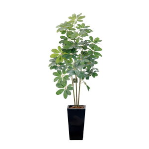 tFCNO[ ϗtA lH  tFCN ^ 傫 G} 킢 L rO p[e[V i` JXj CTG} A CeA  j  / 