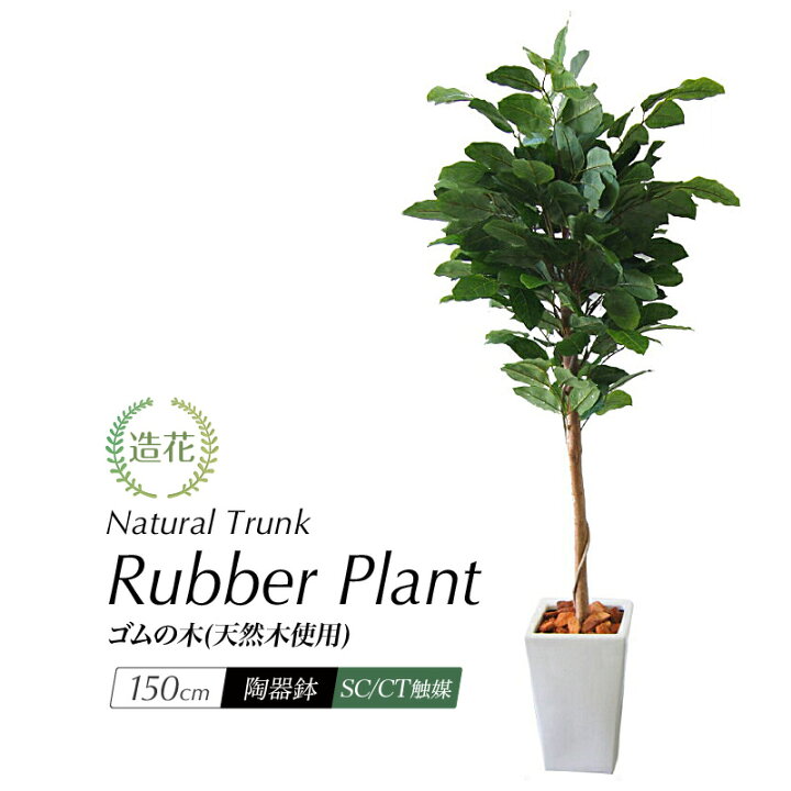 楽天市場 人工観葉植物 リアル フェイクグリーン 観葉植物 造花 光触媒 大型 ゴムの木 150cm 鉢植 インテリア おしゃれ フェイク グリーン Ct触媒 消臭 抗菌 お祝い フェイクグリーンの神戸花物語